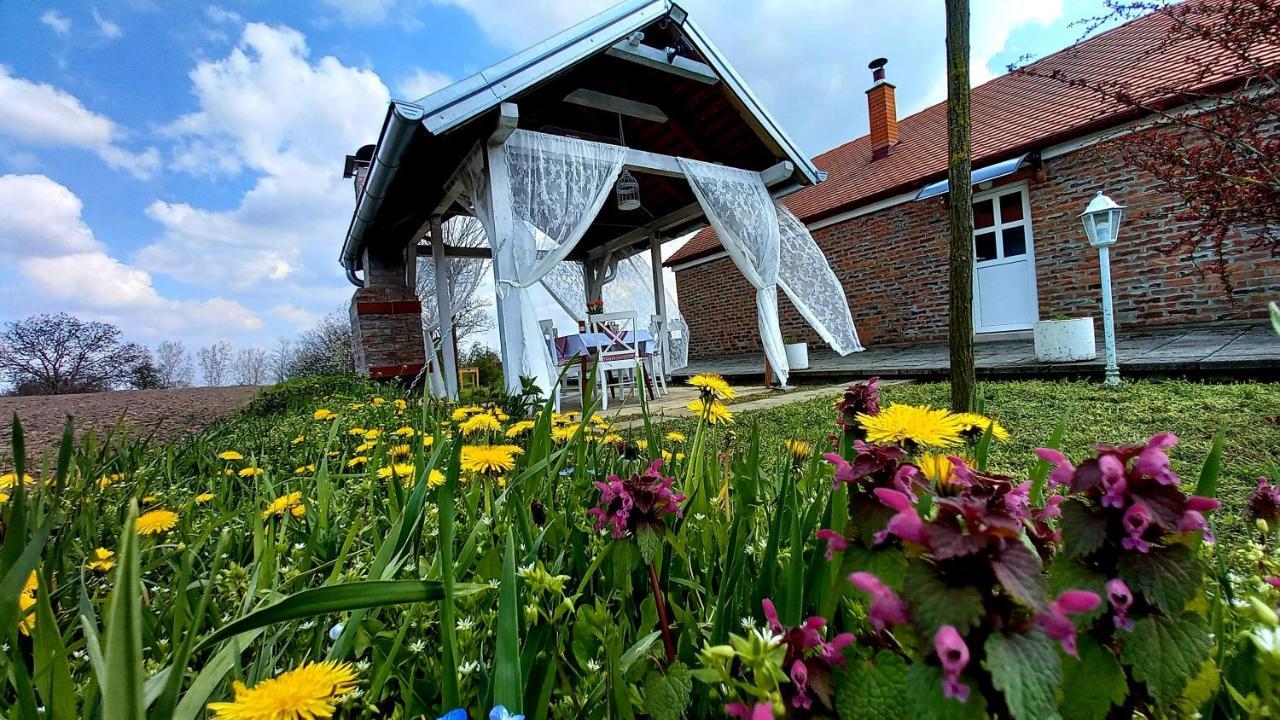 Old Village House Suza Exteriér fotografie